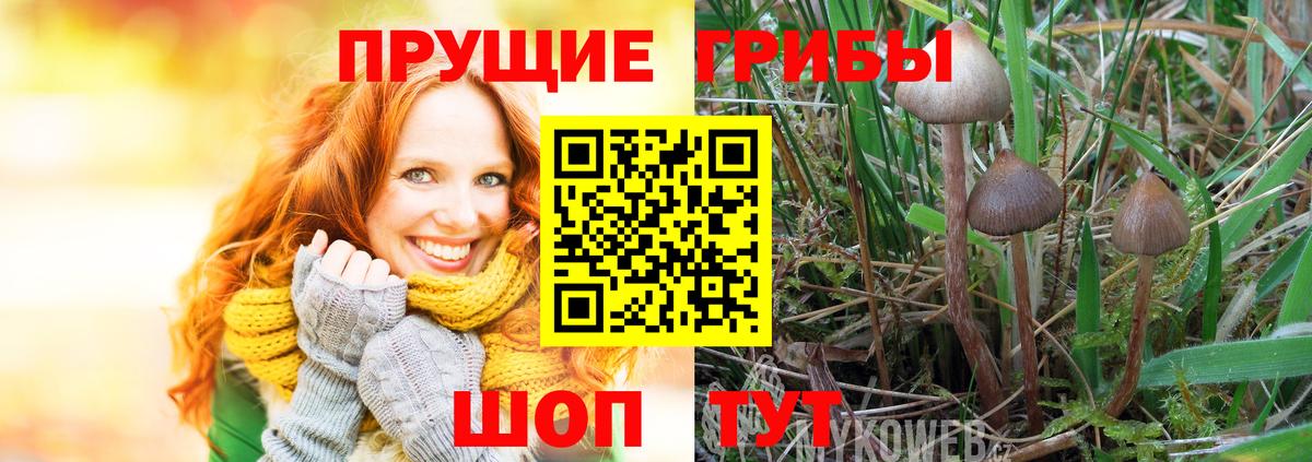 Галлюциногенные грибы мухоморы  Вход с VPN  Галлюциногенные грибы Psilocybe  купить наркоту  Железноводск 